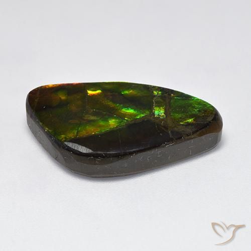 Ammolite Multicolore naturale da 11.50 ct, Taglio a fantasia, Opaco