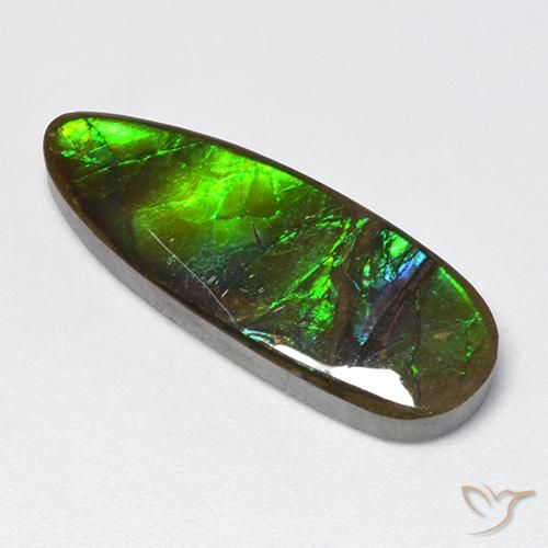 12.78ct Naturale Multicolore Ammolite, Taglio a fantasia, Opaco