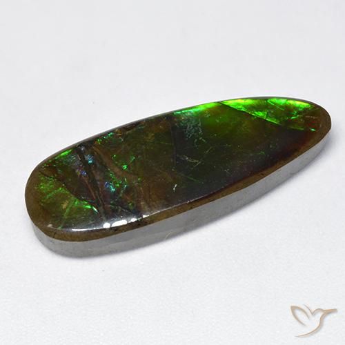 Ammolite Multicolore naturale da 12.78 ct, Taglio a fantasia, Opaco