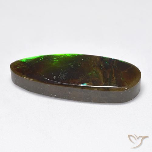 Ammolite Multicolore naturale da 12.78 ct, Taglio a fantasia, Opaco
