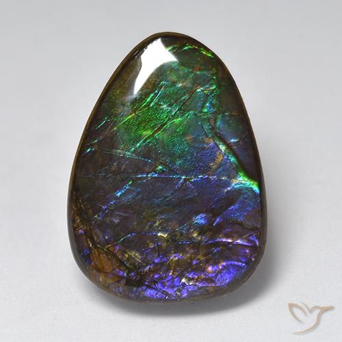 17.96ct Naturale Multicolore Ammolite, Taglio a fantasia, Opaco