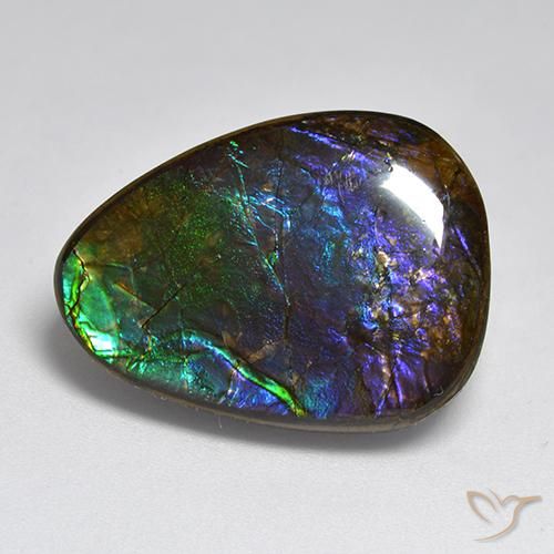 Ammolite Multicolore naturale da 17.96 ct, Taglio a fantasia, Opaco