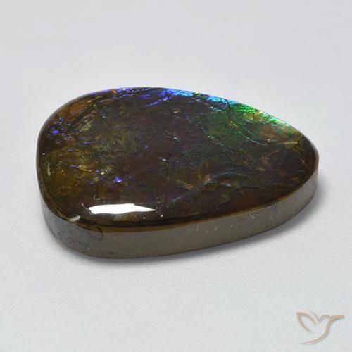 Ammolite Multicolore naturale da 17.96 ct, Taglio a fantasia, Opaco