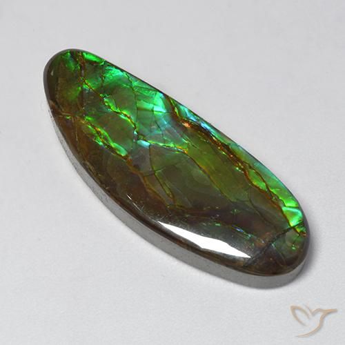 18.94ct Naturale Multicolore Ammolite, Taglio a fantasia, Opaco