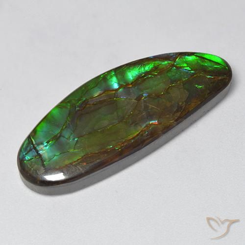 Ammolite Multicolore naturale da 18.94 ct, Taglio a fantasia, Opaco