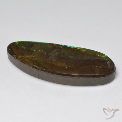 Ammolite Multicolore naturale da 18.94 ct, Taglio a fantasia, Opaco