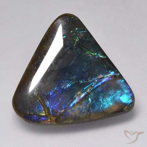 Ammolite Multicolore naturale da 15.09 ct, Taglio a fantasia, Opaco