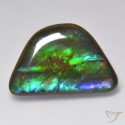 15.86ct Naturale Multicolore Ammolite, Taglio a fantasia, Opaco