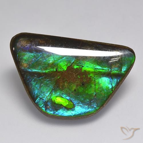 Ammolite Multicolore naturale da 15.86 ct, Taglio a fantasia, Opaco