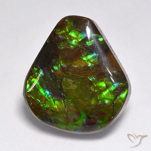 Ammolite Multicolore naturale da 15.50 ct, Taglio a fantasia, Opaco