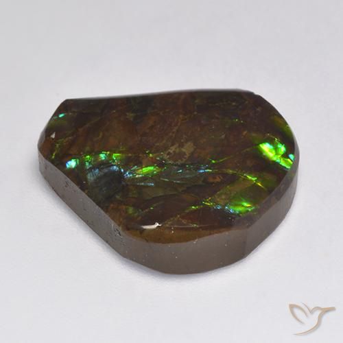 Ammolite Multicolore naturale da 15.50 ct, Taglio a fantasia, Opaco