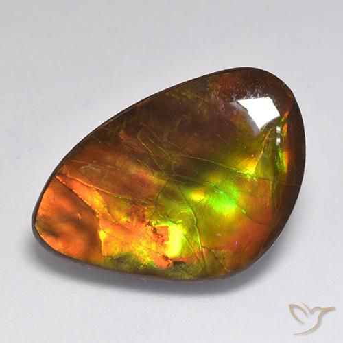 Ammolite Multicolore naturale da 20.30 ct, Taglio a fantasia, Opaco