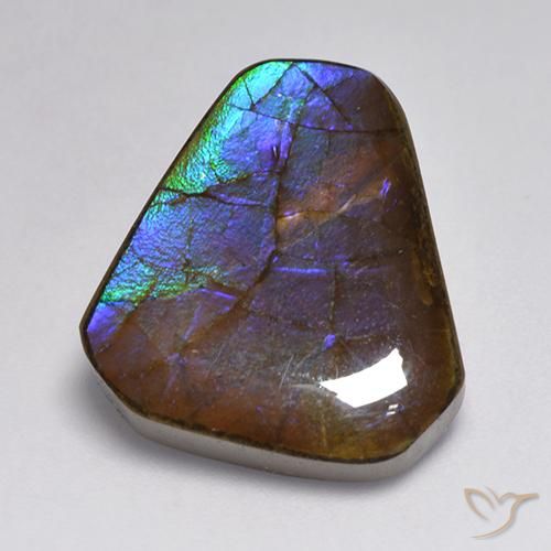 13.95ct Naturale Multicolore Ammolite, Taglio a fantasia, Opaco