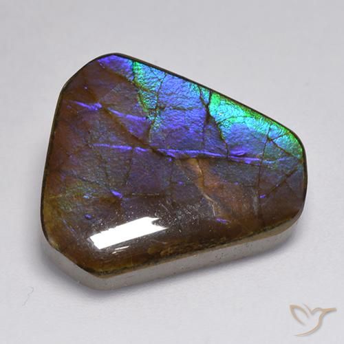 Ammolite Multicolore naturale da 13.95 ct, Taglio a fantasia, Opaco