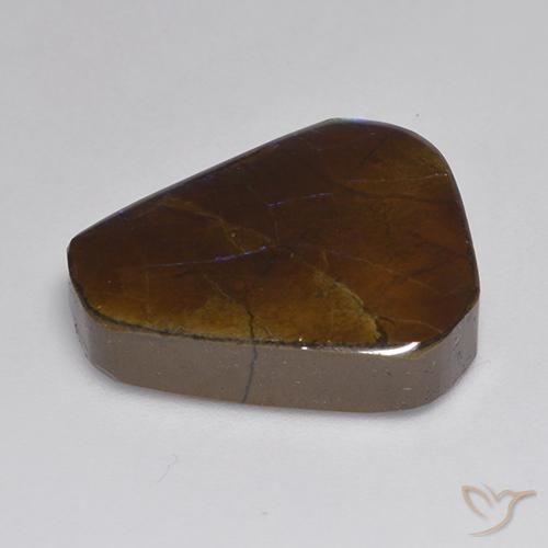 Ammolite Multicolore naturale da 13.95 ct, Taglio a fantasia, Opaco