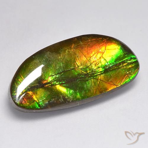 11.62ct Naturale Multicolore Ammolite, Taglio a fantasia, Opaco