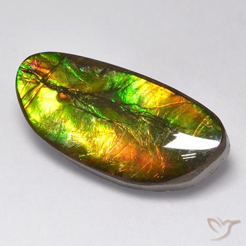 Ammolite Multicolore naturale da 11.62 ct, Taglio a fantasia, Opaco