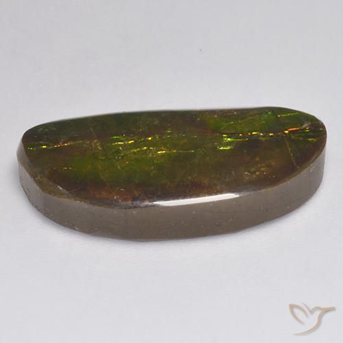 Ammolite Multicolore naturale da 11.62 ct, Taglio a fantasia, Opaco