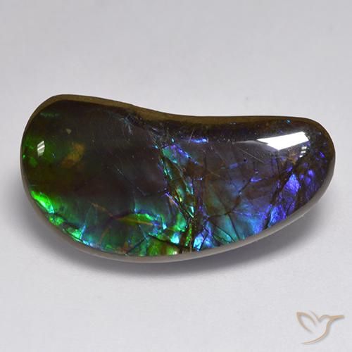 14.55ct Naturale Multicolore Ammolite, Taglio a fantasia, Opaco