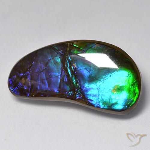 Ammolite Multicolore naturale da 14.55 ct, Taglio a fantasia, Opaco