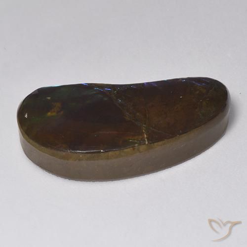 Ammolite Multicolore naturale da 14.55 ct, Taglio a fantasia, Opaco