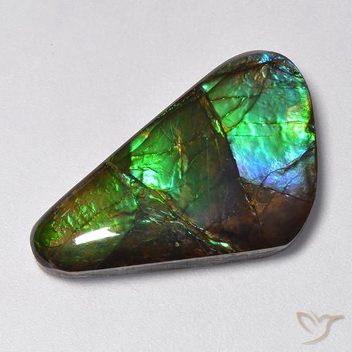 13.85ct Naturale Multicolore Ammolite, Taglio a fantasia, Opaco