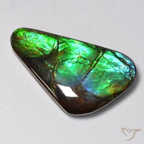 Ammolite Multicolore naturale da 13.85 ct, Taglio a fantasia, Opaco