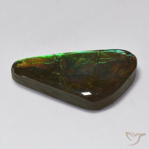 Ammolite Multicolore naturale da 13.85 ct, Taglio a fantasia, Opaco