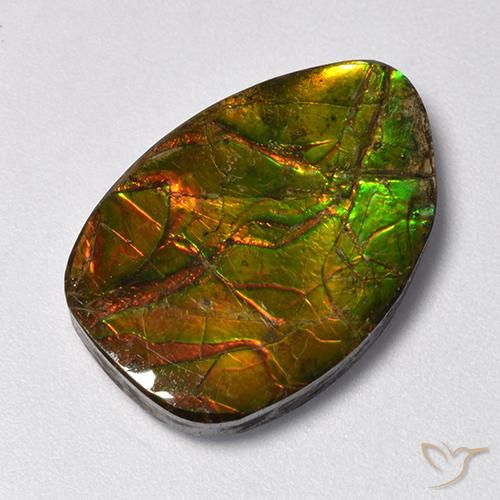 11.13ct Naturale Multicolore Ammolite, Taglio a fantasia, Opaco