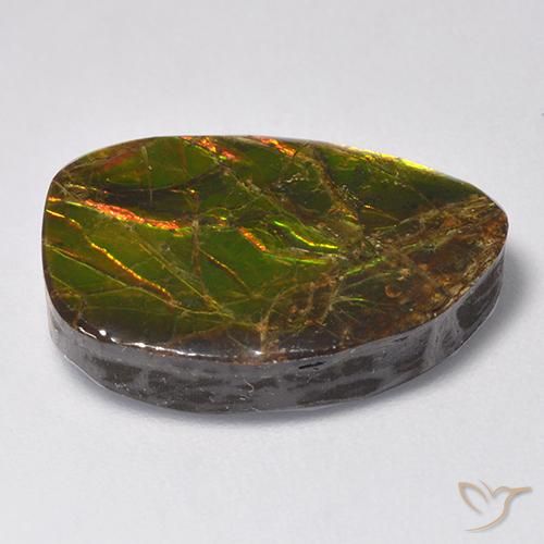 Ammolite Multicolore naturale da 11.13 ct, Taglio a fantasia, Opaco