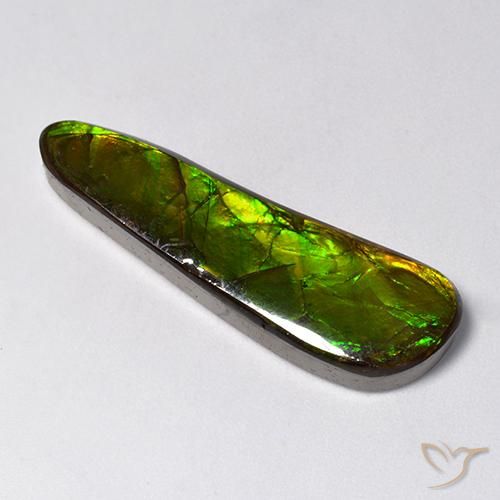Ammolite Multicolore naturale da 14.88 ct, Taglio a fantasia, Opaco