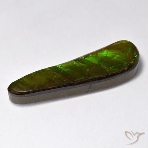 Ammolite Multicolore naturale da 14.88 ct, Taglio a fantasia, Opaco