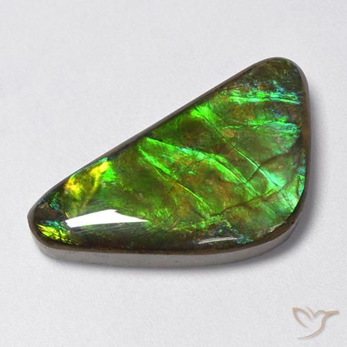 13.28ct Naturale Multicolore Ammolite, Taglio a fantasia, Opaco
