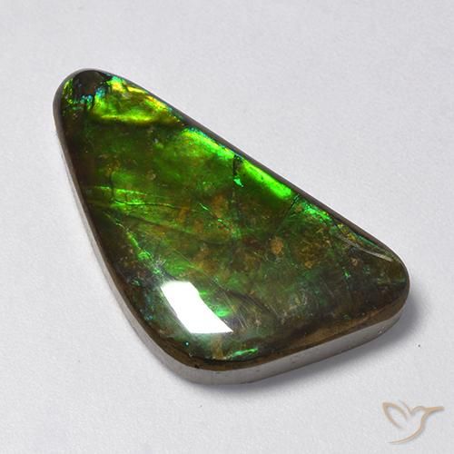 Ammolite Multicolore naturale da 13.28 ct, Taglio a fantasia, Opaco