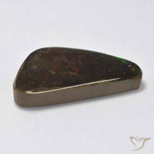 Ammolite Multicolore naturale da 13.28 ct, Taglio a fantasia, Opaco