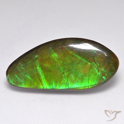 15.77ct Naturale Multicolore Ammolite, Taglio a fantasia, Opaco