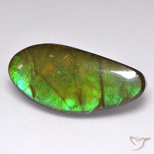 Ammolite Multicolore naturale da 15.77 ct, Taglio a fantasia, Opaco