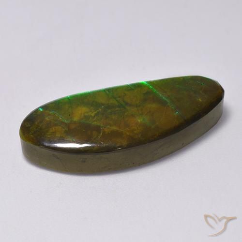 Ammolite Multicolore naturale da 15.77 ct, Taglio a fantasia, Opaco