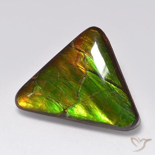 Ammolite Multicolore naturale da 14.54 ct, Taglio trillion, Opaco