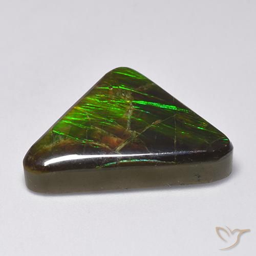 Ammolite Multicolore naturale da 14.54 ct, Taglio trillion, Opaco