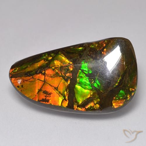 13.48ct Naturale Multicolore Ammolite, Taglio a fantasia, Opaco