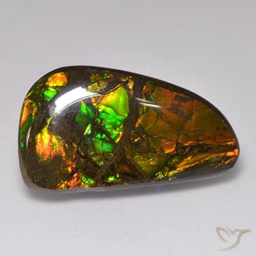 Ammolite Multicolore naturale da 13.48 ct, Taglio a fantasia, Opaco