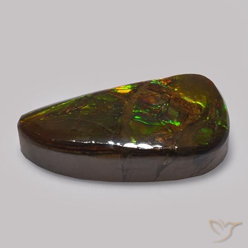 Ammolite Multicolore naturale da 13.48 ct, Taglio a fantasia, Opaco
