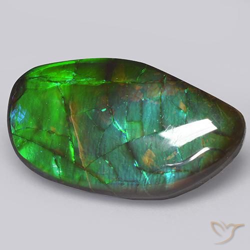 Ammolite Multicolore naturale da 13.66 ct, Taglio a fantasia, Opaco