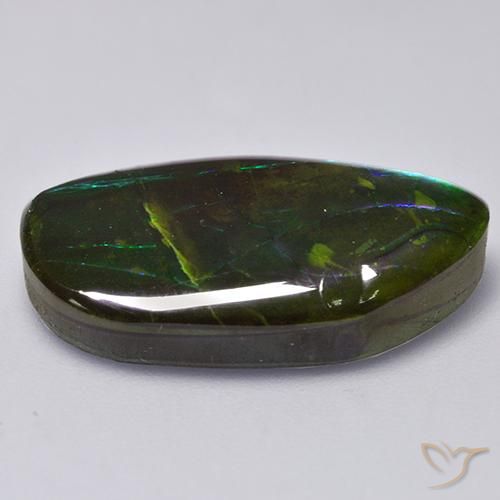 Ammolite Multicolore naturale da 13.66 ct, Taglio a fantasia, Opaco