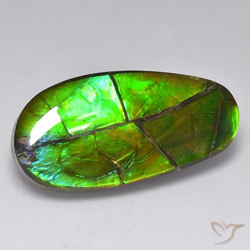 Ammolite naturale multicolore da 17,05 ct, forma fantasia, opaco