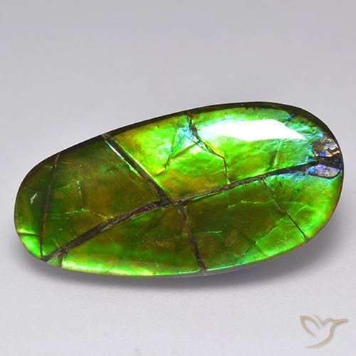 Ammolite naturale multicolore da 17,05 ct, forma fantasia, opaco