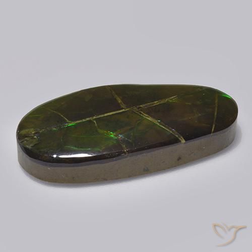 Ammolite naturale multicolore da 17,05 ct, forma fantasia, opaco