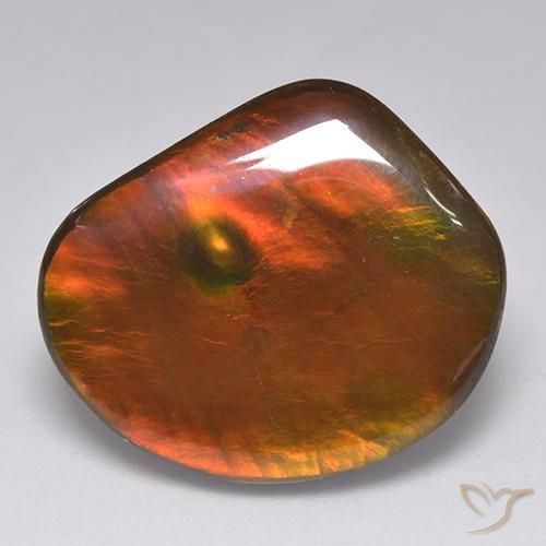 21.29ct Naturale Multicolore Ammolite, Taglio a fantasia, Opaco