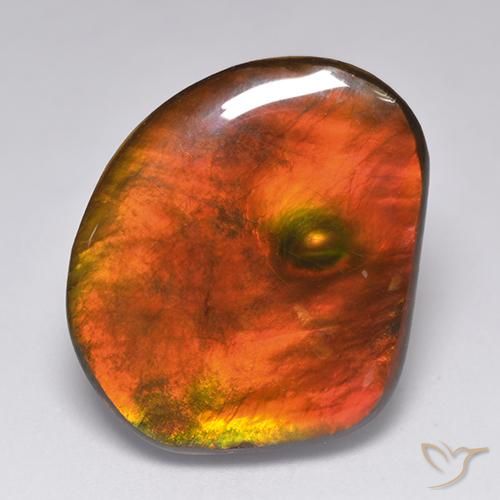 Ammolite Multicolore naturale da 21.29 ct, Taglio a fantasia, Opaco